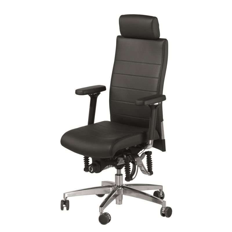 Haider BioSwing 660 iQ Trendline Chair