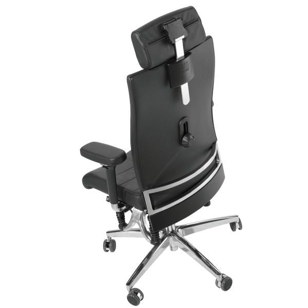 Haider BioSwing 660 iQ Trendline Chair