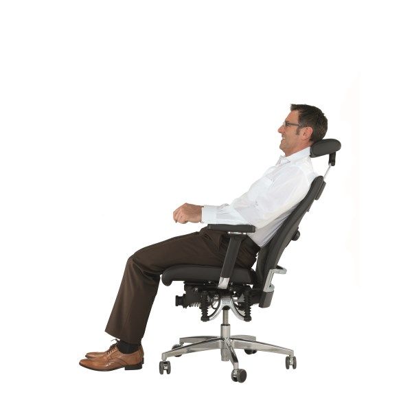 Haider BioSwing 660 iQ Trendline Chair