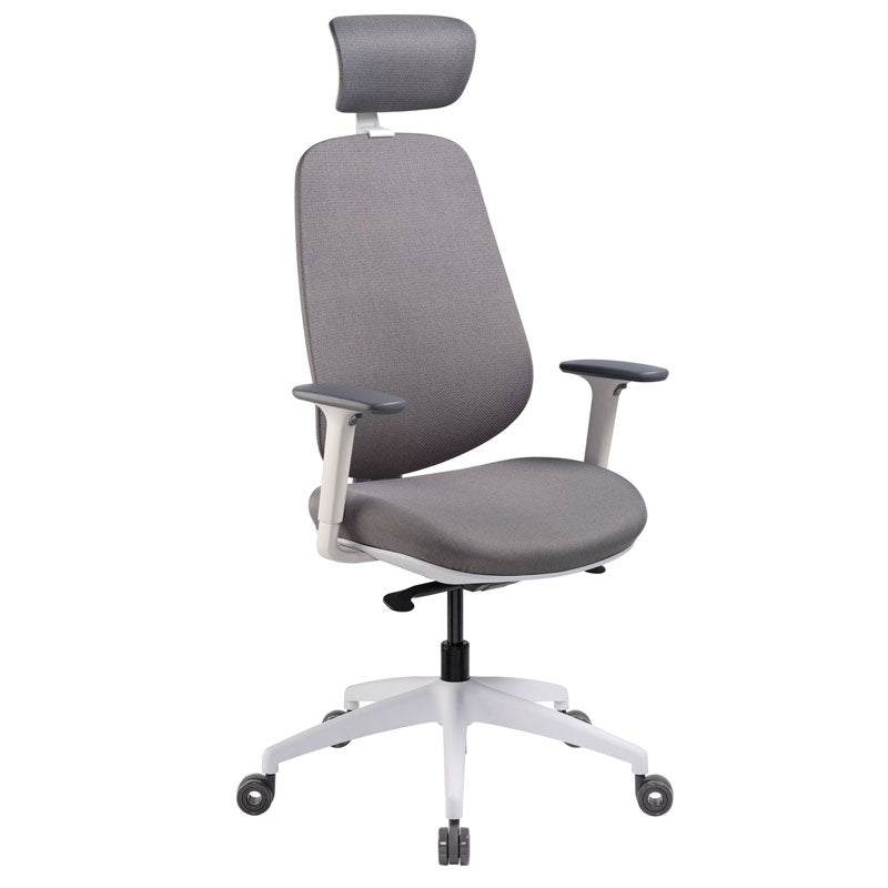 Pago AirForm Synchro Ergonomic Chair - Ash