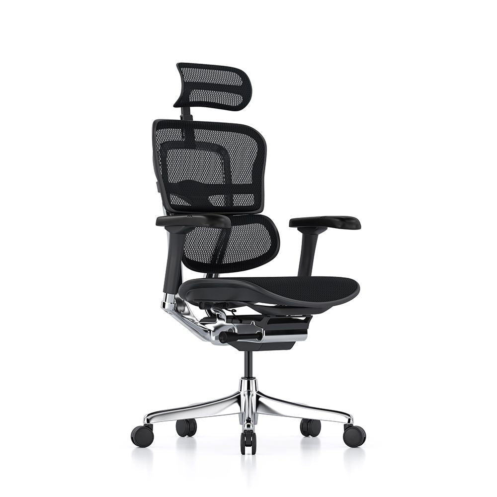 Ergohuman Elite Mesh Office Chair