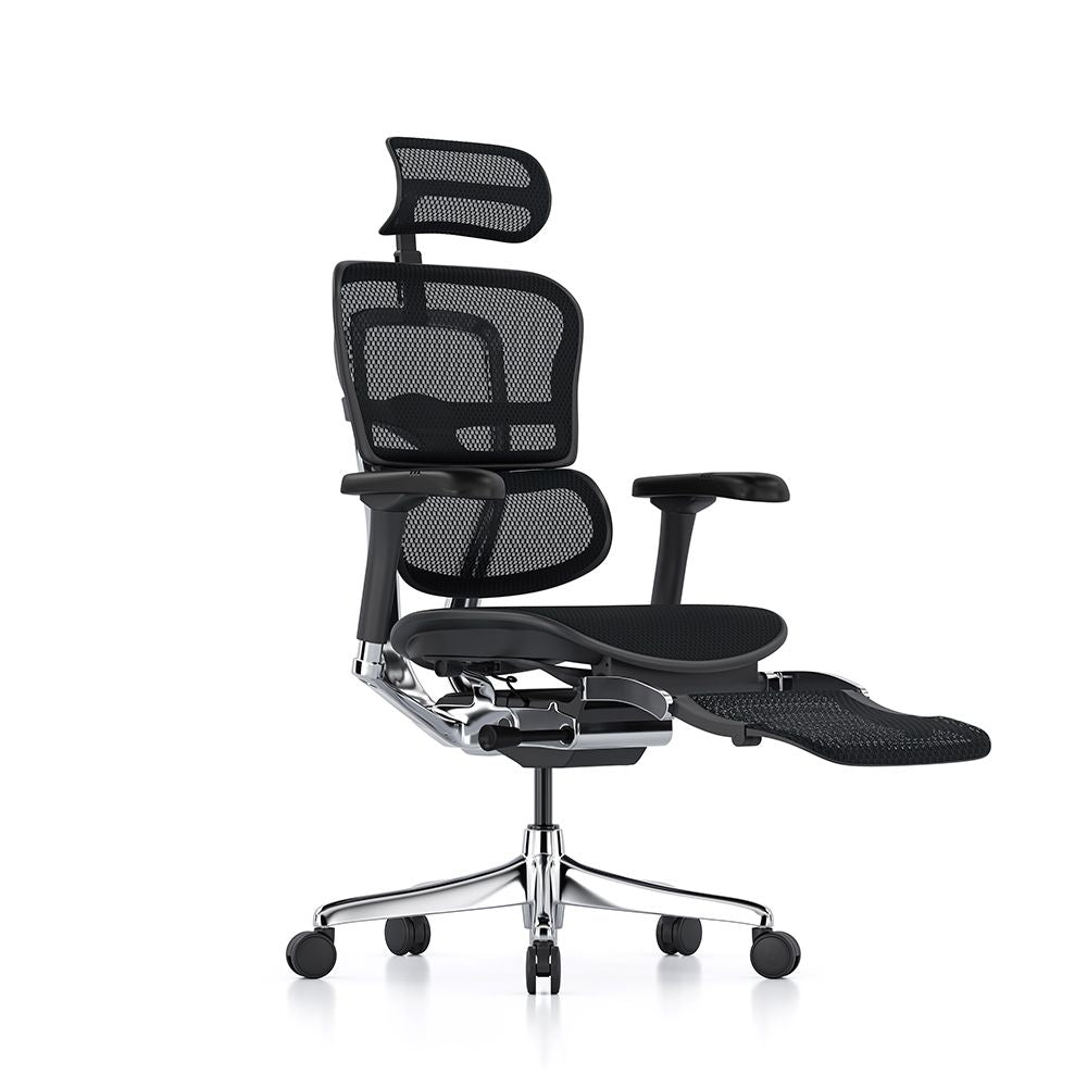 Ergohuman Elite Mesh Office Chair