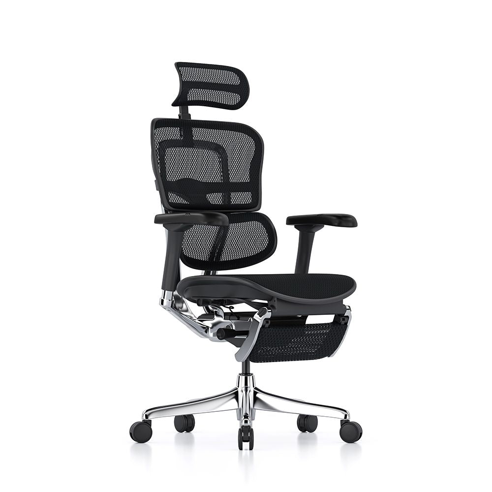 Ergohuman Elite Mesh Office Chair