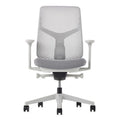 Herman Miller Verus Triflex Office Chair - Mineral