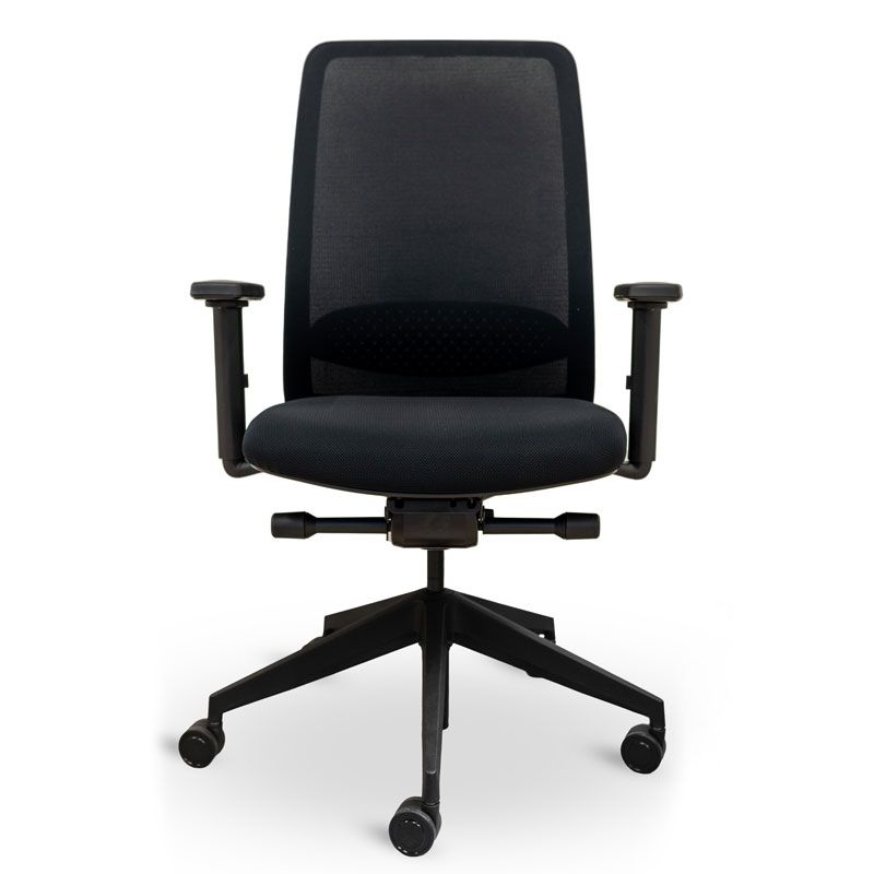 Luxy Neat Mesh Back Office Chair