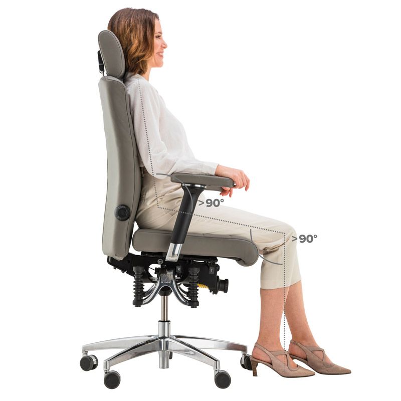 Haider BioSwing 560 iQ Office Chair